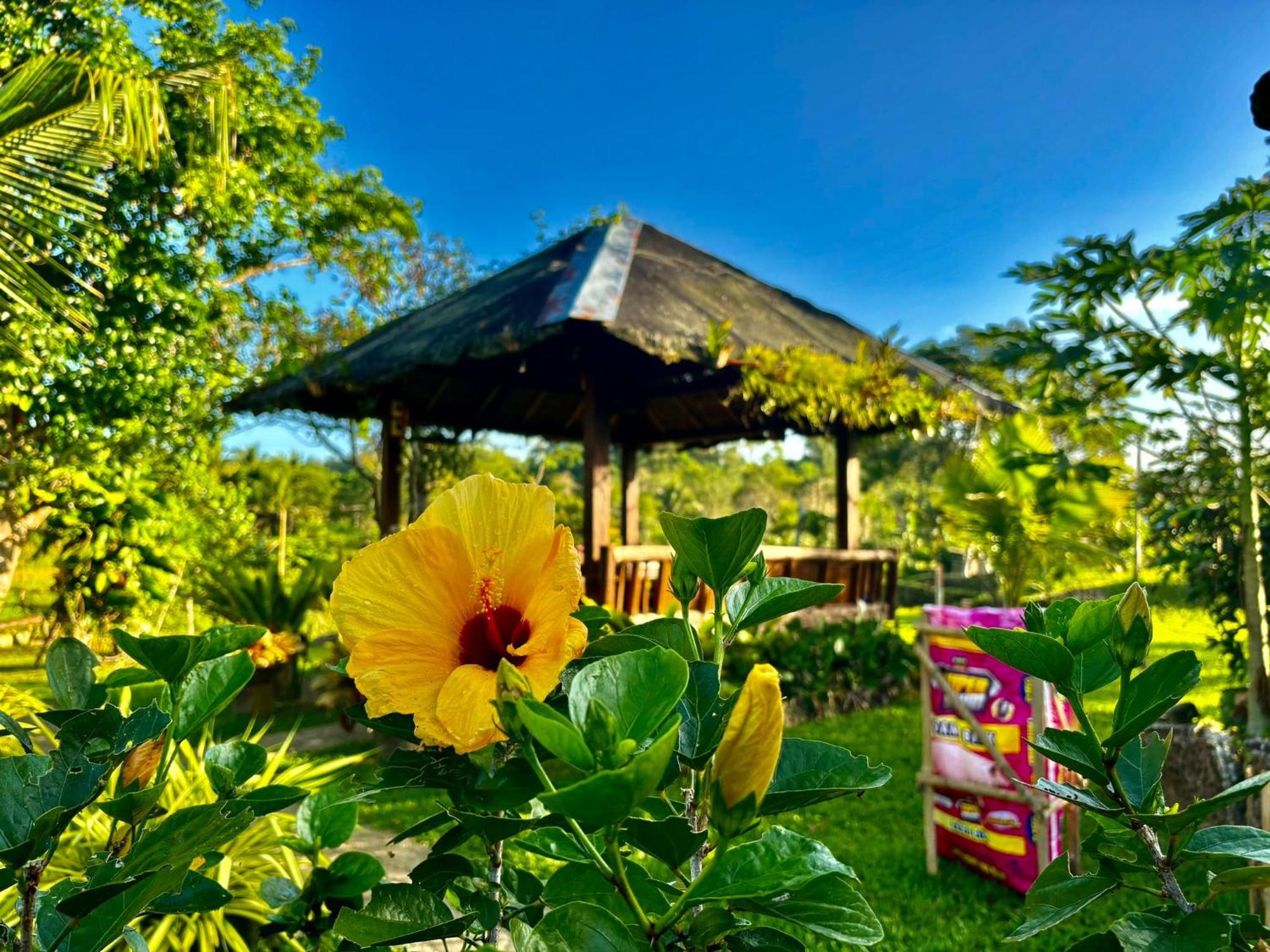 Hotel Camelo Farm Bilar Esterno foto